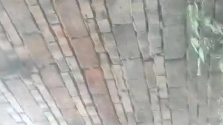 b级片