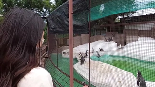 调解母狗野外后入