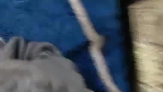 少女学生与她的大学男友的第一次色情体验