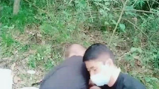 韦尔奇